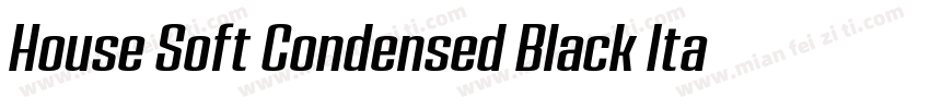 House Soft Condensed Black Italic字体转换